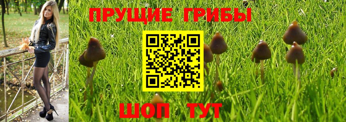 Галлюциногенные грибы прущие грибы Заинск