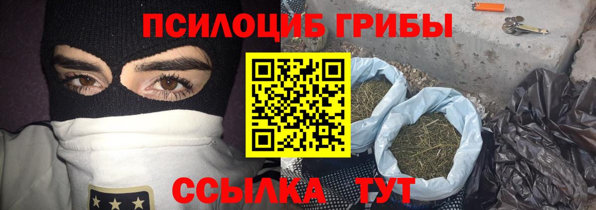 Заинск  Галлюциногенные грибы мицелий  Вход с VPN  Псилоцибиновые грибы Cubensis 