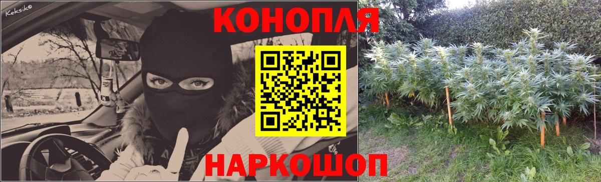 Конопля OG Kush  Бошки марихуана Ganja  Бошки марихуана Bruce Banner  Вход с VPN  Заинск  Шишки марихуана Ganja 